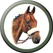 Button Linking to the Horse Portraits Page
